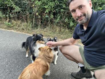Um homem de camisa polo azul-marinho e bermuda se ajoelha em uma estrada, sorrindo enquanto alimenta três cães pequenos e fofos. Arbustos verdes e grama alinham-se ao fundo.
