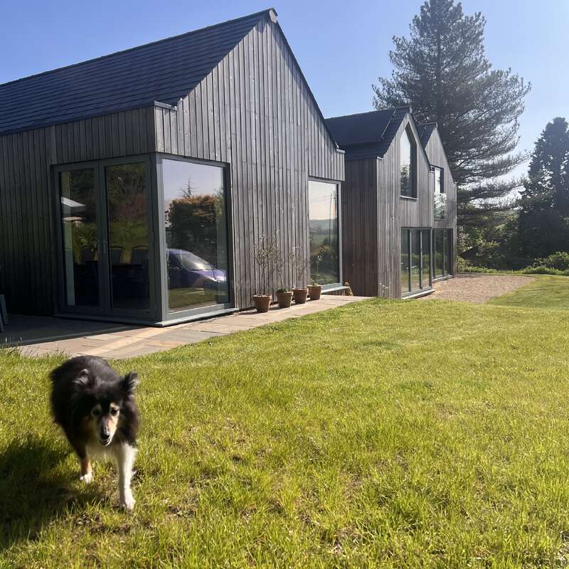 Uma casa de madeira moderna com grandes janelas fica em um pátio gramado. Vários vasos de plantas revestem o pátio. Um cachorro preto e branco fofo caminha em frente a você.