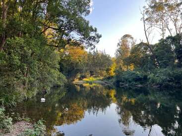 The image depicts a serene river scene with lush green trees and bushes lining the banks, reflecting in the calm water under a clear blue sky.