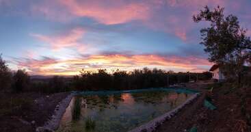 Un hermoso cielo al atardecer lleno de nubes rosas y naranjas se refleja en un tranquilo estanque. Los árboles circundantes y una pequeña casa realzan la apacible escena rural.