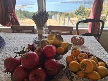 Une table garnie de grenades, de kakis et de coings est installée près d'une fenêtre qui donne sur un lac et des collines pittoresques, la lumière du soleil traversant les rideaux rouges.