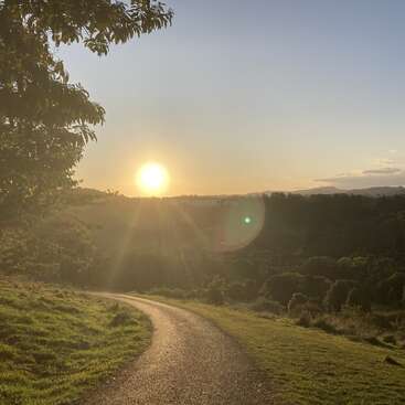 A winding path leads through grassy hills at sunset. The golden sun shines low over a distant forest, casting long shadows and warm, peaceful light.