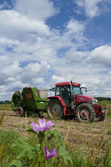 Un tractor rojo arrastra maquinaria agrícola verde por un campo bajo un cielo azul brillante con nubes esponjosas. Una flor silvestre morada florece en primer plano.