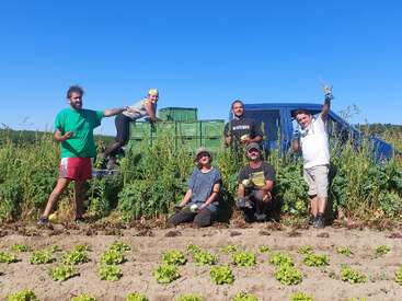 Seis personas posan felices en un soleado campo de hortalizas, sosteniendo productos agrícolas. Detrás de ellos hay cajas y un coche azul, rodeados de exuberante vegetación y un cielo azul claro.
