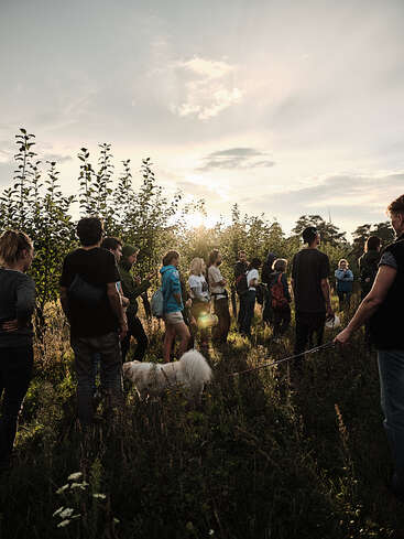 Un grupo de personas y un perro blanco y esponjoso se reúnen al aire libre, entre la hierba alta cerca de los árboles, bañados por la suave luz del sol durante una tranquila tarde.