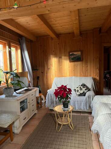 A cozy wooden room with natural light, comfortable sofas, a poinsettia on a small table, a dresser, plant, guitar, rug, and warm, inviting decor.