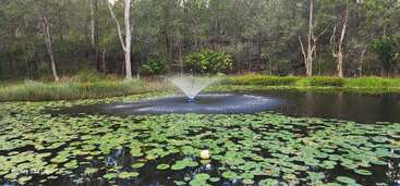 Ein ruhiger Teich voller Seerosenblätter wird von einem Springbrunnen in der Mitte geziert. Das Gewässer ist von dichtem, grünem Wald umgeben, im Hintergrund ragen hohe Bäume und Sträucher empor.