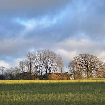 L'image représente un paysage rural serein composé d'un champ d'herbes hautes, d'une grange délabrée et d'arbres dénudés sous un ciel nuageux traversé de quelques rayons de soleil.