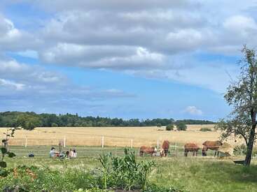 Scène rurale paisible avec des personnes assises sur l'herbe, plusieurs chevaux broutant dans un champ clôturé, sous un ciel partiellement nuageux avec des champs dorés et des arbres au loin.