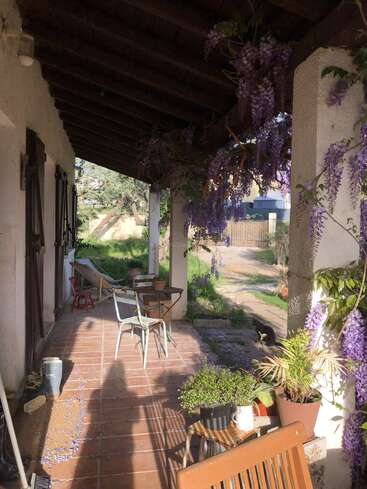 Eine gemütliche Veranda mit Terrakottafliesen, violetten Glyzinien, verschiedenen Stühlen, Topfpflanzen und Gartenschuhen. Das Sonnenlicht wirft sanfte Schatten und schafft eine friedliche, rustikale Atmosphäre.
