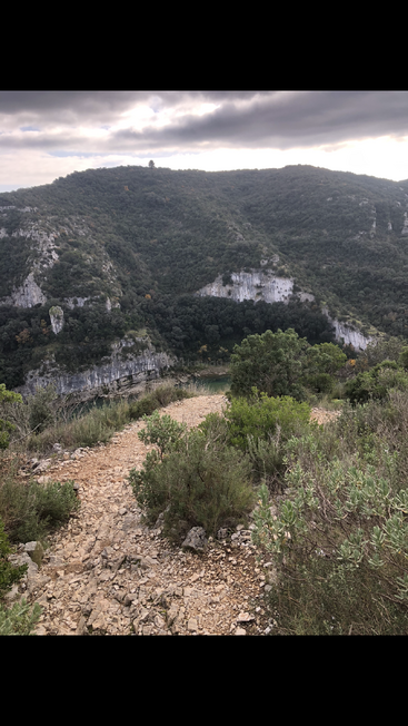 Ein steiniger Pfad schlängelt sich durch grüne Sträucher hin zu einem bewaldeten Tal, das von steilen Kalksteinfelsen gesäumt ist – unter einem wolkigen, dramatischen Himmel, der eine friedliche Landschaft schafft.