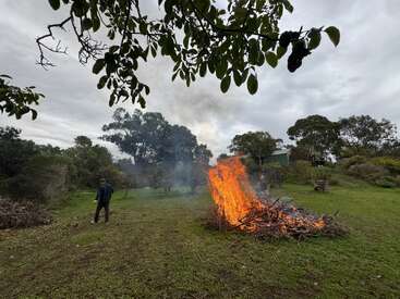 Bajo un cielo nublado, una persona se encuentra de pie sobre la hierba verde, cerca de una gran hoguera de ramas en llamas, rodeada de árboles y de herramientas de jardín esparcidas por el suelo. Las hojas enmarcan la escena.
