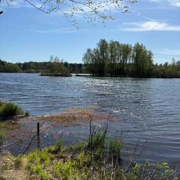 The image depicts a serene lake scene with a grassy bank, trees, and a blue sky with clouds, evoking a sense of calm and tranquility.
