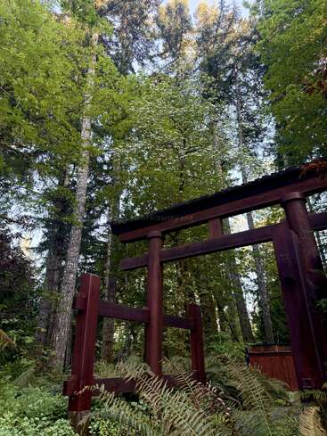 Ein hölzernes Torii-Tor steht inmitten eines üppig grünen Waldes, umgeben von Farnen und hohen Bäumen. Das Sonnenlicht fällt durch das Blätterdach und schafft eine ruhige, friedliche Atmosphäre.