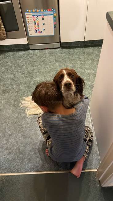 Das Bild zeigt einen kleinen Jungen, der auf dem Boden einer Küche sitzt und einen braun-weißen Hund auf dem Schoß hat. Der Junge trägt ein graues Hemd.