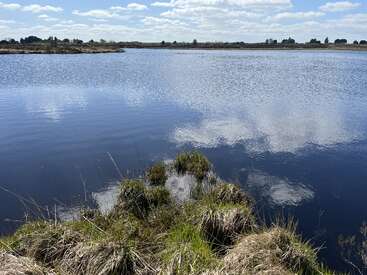 Um lago tranquilo com águas azuis calmas reflete nuvens fofas. Gramíneas altas crescem ao longo da margem e uma linha de árvores distante completa a paisagem tranquila.