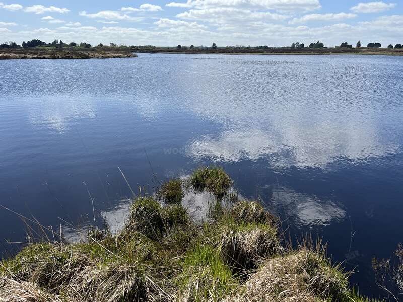 Um lago tranquilo com águas azuis calmas reflete nuvens fofas. Gramíneas altas crescem ao longo da margem e uma linha de árvores distante completa a paisagem tranquila.