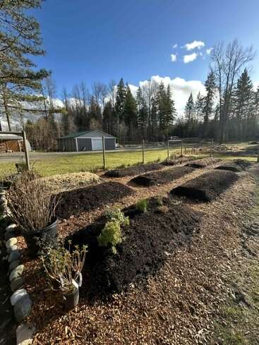 A sunny garden scene shows raised planting beds with dark soil, some small green plants, wood chip paths, potted bushes, fenced yard, trees, and a shed.