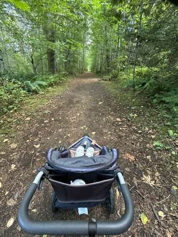 A stroller with a child is being pushed down a peaceful, tree-lined forest path covered in leaves, surrounded by lush green foliage and ferns.