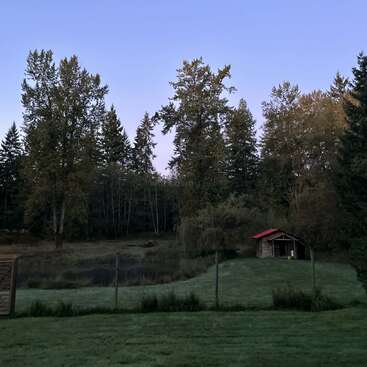 A tranquil rural scene featuring a small wooden shed with a red roof, lush green grass, a pond, and tall trees under a clear, early morning sky.