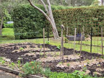 Um jardim exuberante com mudas crescendo em fileiras bem organizadas, sustentadas por estacas e treliças. Um pássaro pousa em um poste, cercado por vegetação.