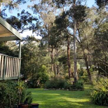 Uma casa aconchegante com uma varanda tem vista para um jardim verdejante e exuberante, cercado por árvores altas e uma floresta densa, sob um céu azul brilhante e sem nuvens. Natureza tranquila.
