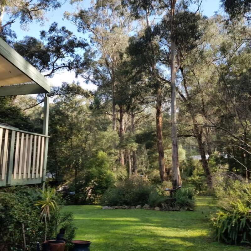 Uma casa aconchegante com uma varanda tem vista para um jardim verdejante e exuberante, cercado por árvores altas e uma floresta densa, sob um céu azul brilhante e sem nuvens. Natureza tranquila.