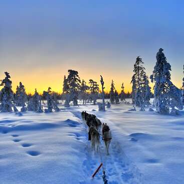 La imagen representa una serena escena invernal con un trineo tirado por perros que atraviesa un paisaje nevado, rodeado de árboles cubiertos de nieve, sobre un vibrante cielo al atardecer.
