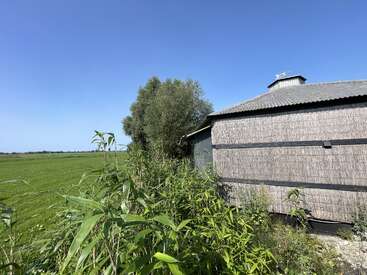 La imagen muestra un granero rústico con el exterior de tejas grises, rodeado de exuberante vegetación y con el cielo azul despejado en un día soleado.