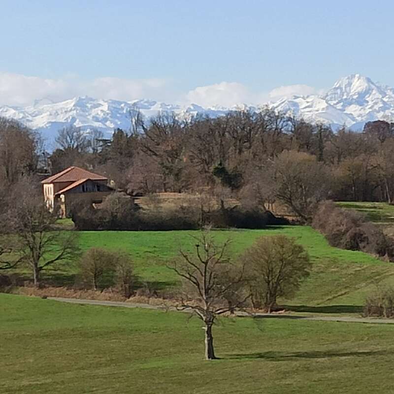Uma cena tranquila no campo, com uma casa, campos verdes, árvores espalhadas, galhos nus e montanhas cobertas de neve ao longe, sob um céu azul límpido. Tranquilo e lindo.