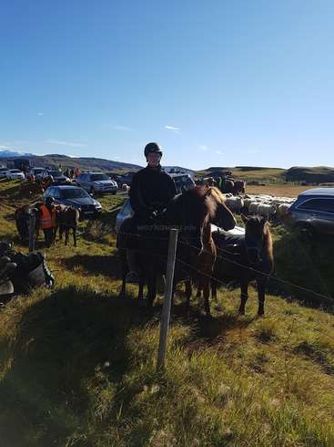 La imagen muestra a un hombre montado a caballo en un campo cubierto de hierba, rodeado de coches y personas, con colinas y un cielo azul de fondo.