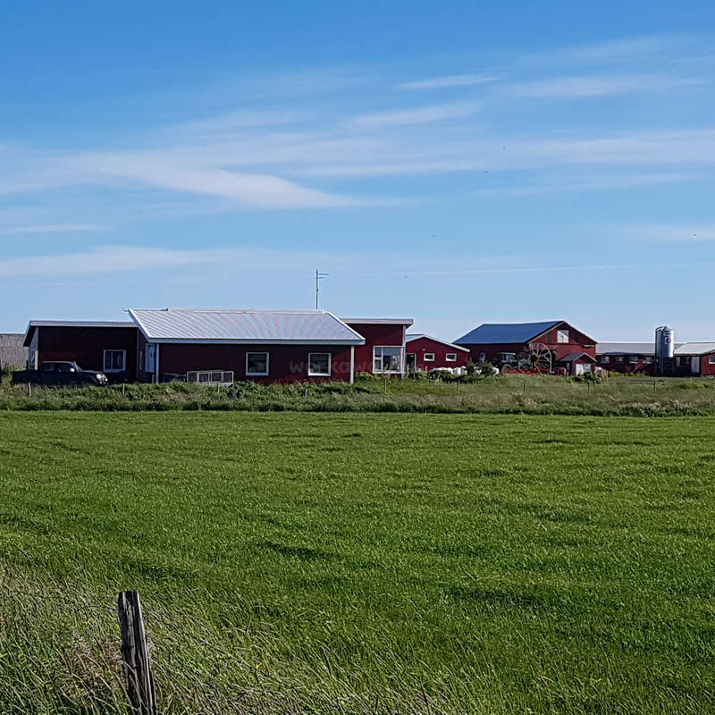 La imagen representa un sereno paisaje rural con un granero rojo con tejado blanco, rodeado de exuberante hierba verde y otros edificios agrícolas bajo un cielo azul despejado.