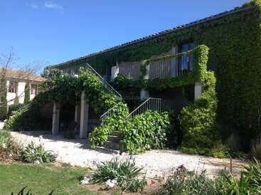 Uma casa encantadora coberta por uma exuberante hera verde, com duas escadarias, uma varanda e cercada por um jardim repleto de flores desabrochando sob um céu azul.