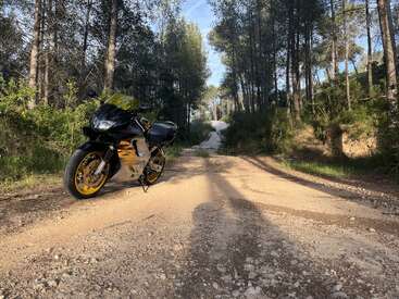 Ein schickes schwarz-gelbes Motorrad steht auf einer sonnigen Schotterstraße, umgeben von hohen Bäumen und viel Grün, und lässt Abenteuer in einer ruhigen Waldumgebung erahnen.