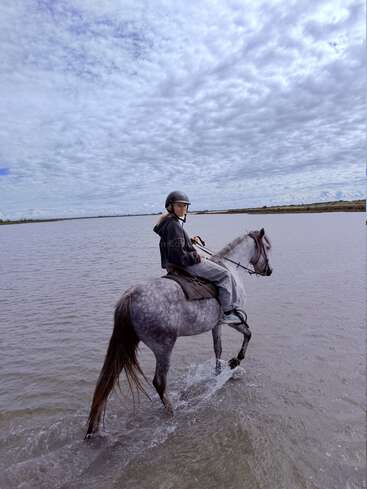 A person wearing a helmet rides a gray horse through shallow water under a dramatic, cloudy sky. The landscape is expansive and tranquil, evoking adventure.