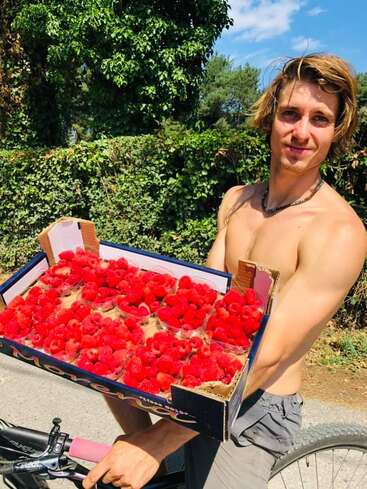 Un jeune homme torse nu se tient dehors, un jour ensoleillé, à côté d'un vélo, un grand panier rempli de framboises rouges fraîches à la main, et il sourit.