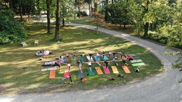 Un groupe de personnes pratique le yoga en plein air sur des tapis colorés, au milieu des arbres et de la verdure. La séance se déroule dans un parc paisible, où les participants sont alignés.