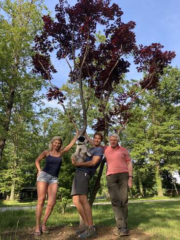 Trois personnes et un chien posent joyeusement devant un arbre aux feuilles d'un rouge profond, entourés d'arbres verdoyants et d'un ciel bleu par une journée ensoleillée.
