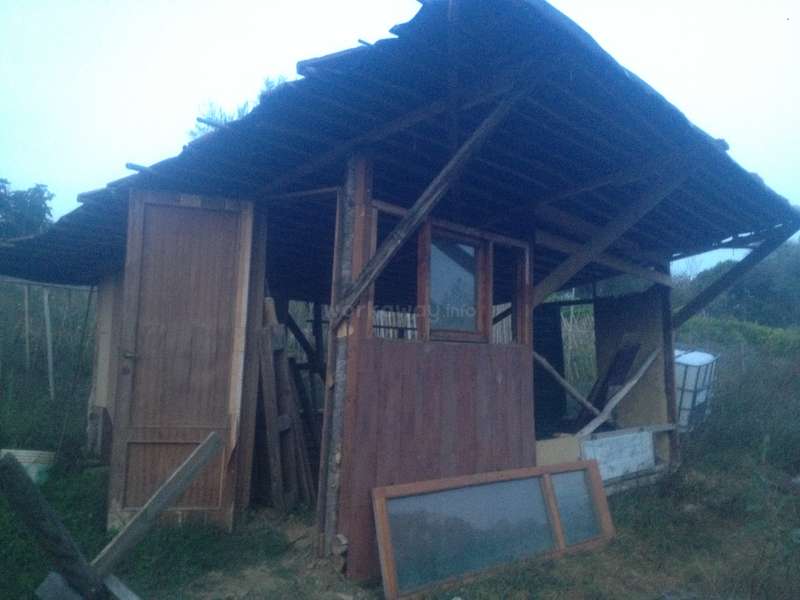 despre opțiunea binară opțiunea iq