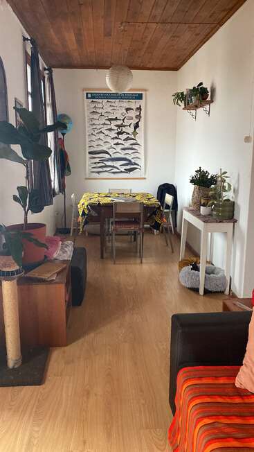 A cozy, bright living-dining room with wooden floors and ceiling, houseplants, fish poster, colorful tablecloth, cat bed, and comfortable furniture, featuring warm, homey decor.