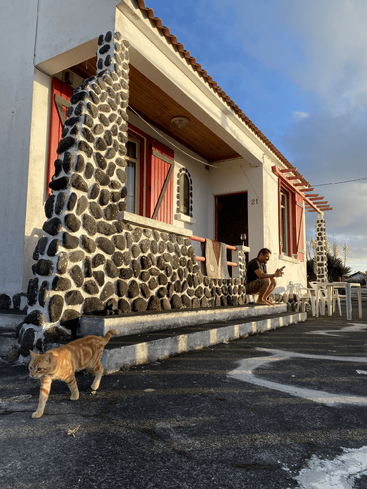 A rustic house with stone and white walls, red shutters, and a tiled roof. A man sits outside, while an orange cat walks nearby in sunlight.