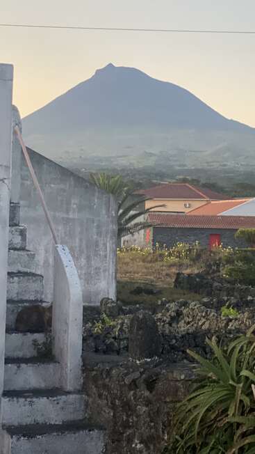 A large mountain dominates the background, with houses, gardens, and stone walls in the foreground. A cat sits quietly on weathered concrete outdoor stairs.