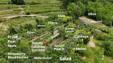 Cette vue aérienne montre un jardin luxuriant et varié, où sont indiqués les noms des arbres fruitiers, des légumes et des plantes, notamment différentes variétés de pommiers, de vignes, de melons, de salades, de tomates et de baies.