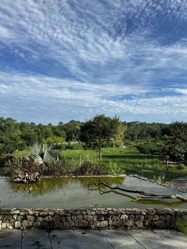 Eine ruhige Landschaft mit einem kleinen, von Steinen gesäumten Teich, saftig grünem Gras und Bäumen unter einem strahlend blauen Himmel mit weißen Wolken.