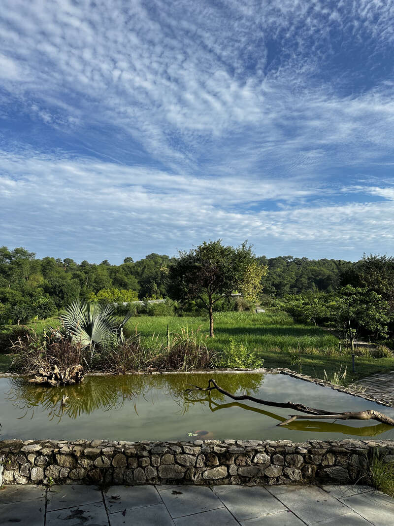 A serene landscape features a small pond bordered by stone, lush green grass, and trees under a vibrant blue sky filled with wispy white clouds.