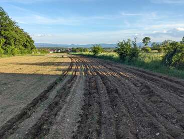 A freshly plowed field stretches into the distance, bordered by green trees and bushes under a clear blue sky, with mountains visible on the horizon.