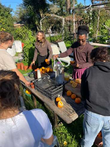 A group of people gathers outdoors on a sunny day, cutting and juicing fresh oranges at a rustic wooden table surrounded by lush green plants.