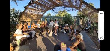 A group of people gathers under a rustic canopy, playing instruments, watching, and participating in a lively capoeira circle outdoors, with sunlight casting natural shadows.
