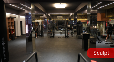 The image displays a gym facility with workout equipment, a climbing wall, treadmills, and a dance class, organized into sections labeled "Sculpt" and "Dance."