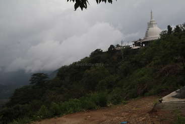 L'image représente un paysage serein avec une grande étendue d'eau, avec un arbre proéminent au premier plan et un ciel clair, évoquant un sentiment de tranquillité et de beauté naturelle.